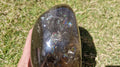 (+12 WEEKS!) Polished Large Smokey Rainbow Standing Display Free Form x 1 From Madagascar