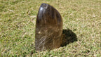 (+12 WEEKS!) Polished Large Smokey Rainbow Standing Display Free Form x 1 From Madagascar