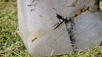 (+12 WEEKS!) Polished and Natural XL Tourmalinated Quartz Crystal x 1 From Madagascar