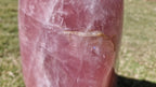 (+12 WEEKS!) Polished XXL Gemmy Pink Rose Quartz Standing Display Free Form x 1 From Ambatondrazaka, Madagascar