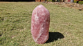 (+12 WEEKS!) Polished XXL Gemmy Pink Rose Quartz Standing Display Free Form x 1 From Ambatondrazaka, Madagascar