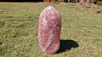 (+12 WEEKS!) Polished XXL Gemmy Pink Rose Quartz Standing Display Free Form x 1 From Ambatondrazaka, Madagascar
