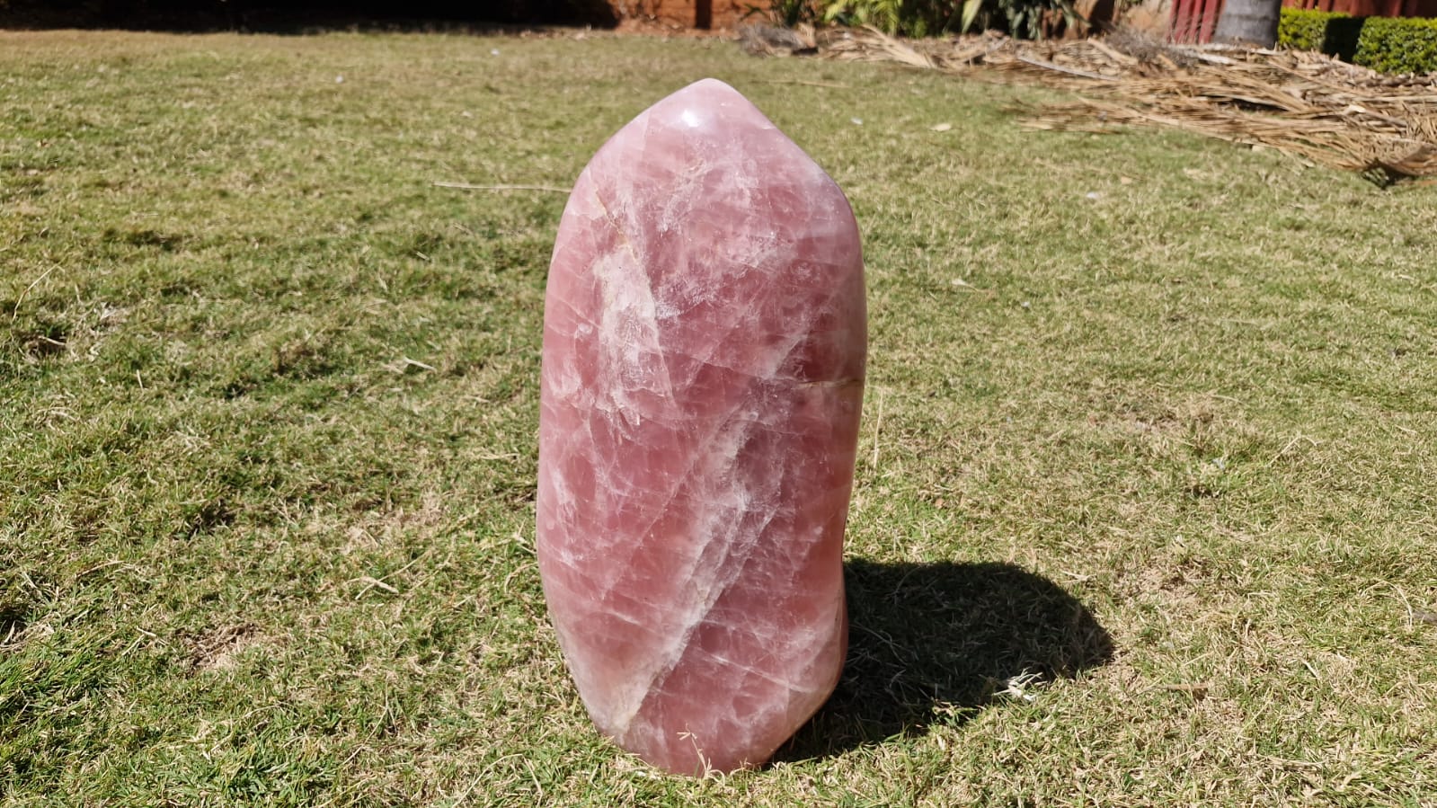 (+12 WEEKS!) Polished XXL Gemmy Pink Rose Quartz Standing Display Free Form x 1 From Ambatondrazaka, Madagascar