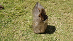 (+12 WEEKS!) Polished and Natural Large Smokey Quartz Standing Display Crystal x 1 From Madagascar
