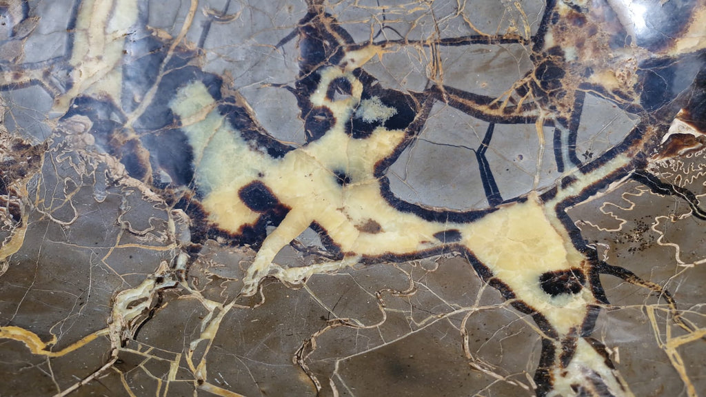 (+12 WEEKS!) Hand Made Polished XXL Septerye Basin x 1 From Mahajanga, Madagascar