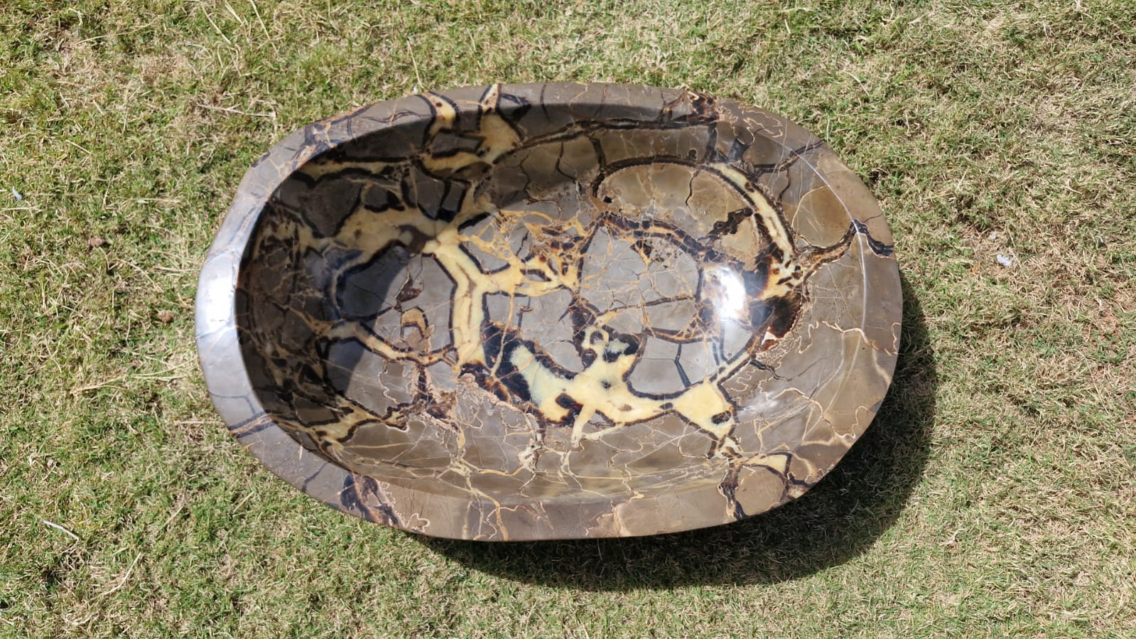 (+12 WEEKS!) Hand Made Polished XXL Septerye Basin x 1 From Mahajanga, Madagascar
