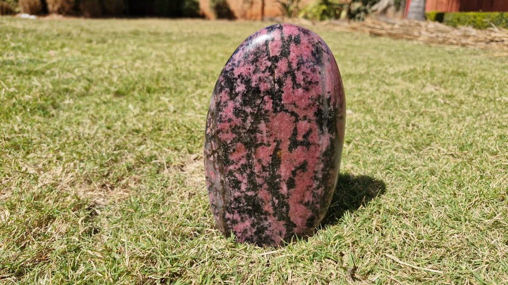 (+12 WEEKS!) Polished Large Rhodonite Gemstone Standing Display Free Form x 1 From Ambindavato, Madagascar