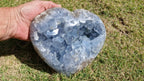 (+12 WEEKS!) Polished and Natural Large Celestite Heart x 1 From Sakoane, Madagascar