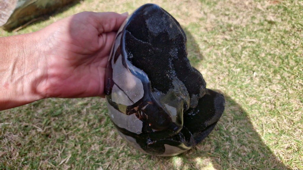 (+12 WEEKS!) Polished and Natural Large Septerye Sauvage Dragons Egg x 1 From Mahajanga, Madagascar