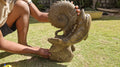 (+12 WEEKS!) Hand Made XXL Septerye Octopus and Dolphin with Ammonite Sculpture x 1 From Mahajanga, Madagascar