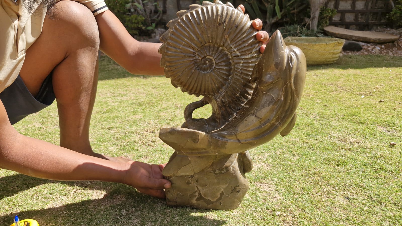 (+12 WEEKS!) Hand Made XXL Septerye Octopus and Dolphin with Ammonite Sculpture x 1 From Mahajanga, Madagascar