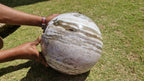 (+12 WEEKS!) Polished XXL Rare Banded Ocean Jasper Sphere x 1 From Boeny, Madagascar