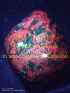 Polished Fluorescent Ruby Corundum In Chrome Verdite Free Forms & One Verdite x 3 From Zimbabwe - TopRock