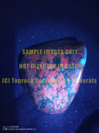 Polished Fluorescent Ruby Corundum In Chrome Verdite Free Forms & One Verdite x 3 From Zimbabwe - TopRock
