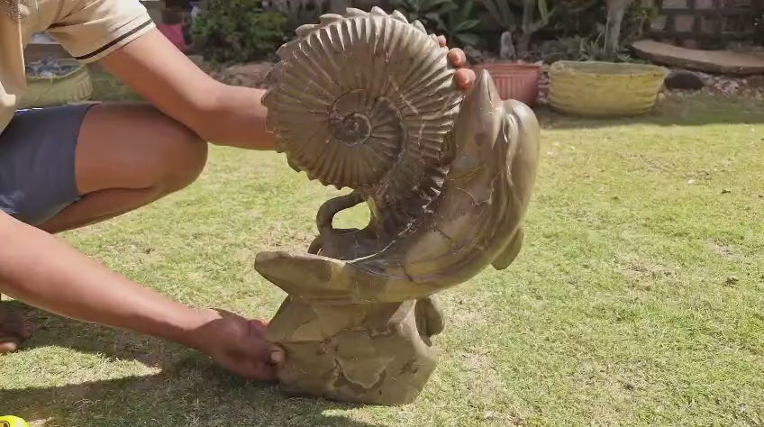 (+12 WEEKS!) Hand Made XXL Septerye Octopus and Dolphin with Ammonite Sculpture x 1 From Mahajanga, Madagascar