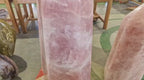 (+12 WEEKS!) Polished XXXL Gemmy Rose Quartz Standing Crystal Display Showpiece x 1 From Ambatondrazaka, Madagascar