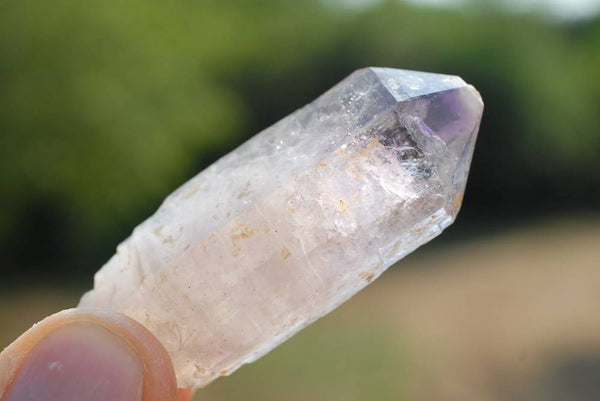 Natural Skeletal Sceptre & Window Smokey Amethyst Crystals x 6 From Chiredzi, Zimbabwe - TopRock