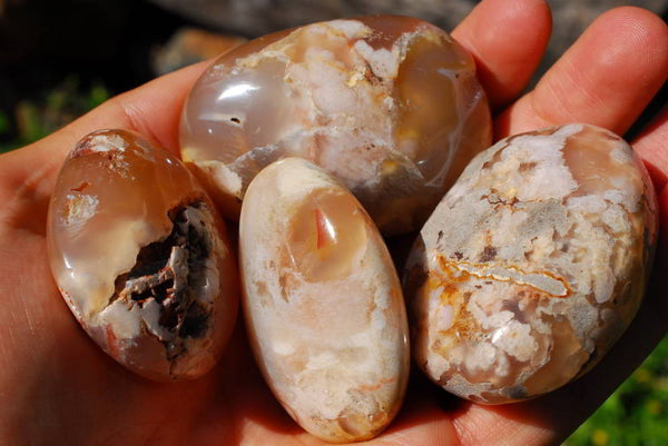 Polished Coral Flower Agate Gallets x 12 From Madagascar - TopRock