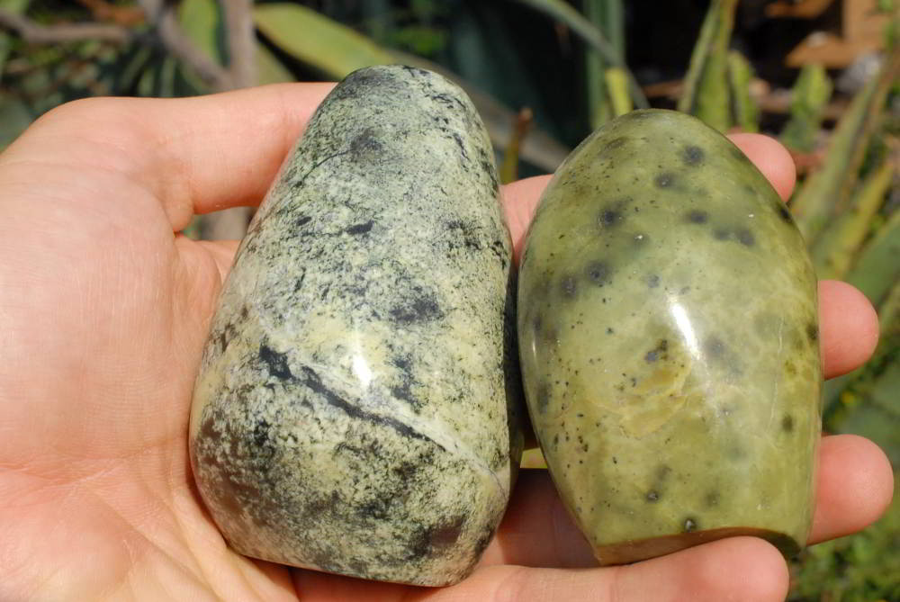 Polished Leopard Stone Standing Free Forms x 6 From Zimbabwe - TopRock