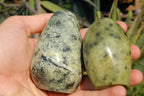 Polished Leopard Stone Standing Free Forms x 6 From Zimbabwe - TopRock
