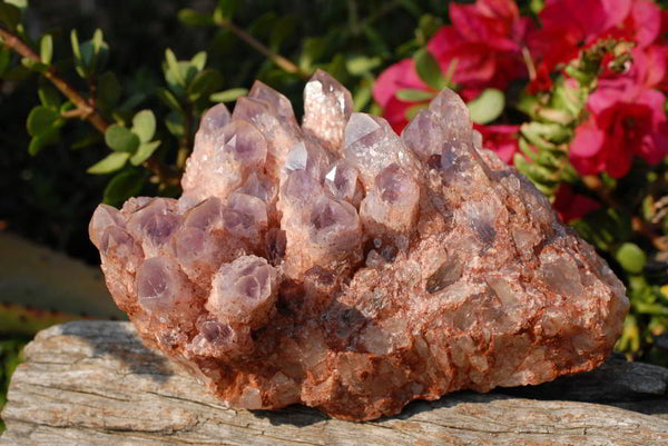 Natural Haematoid Sugar Amethyst Clusters x 2 From Zambia - TopRock
