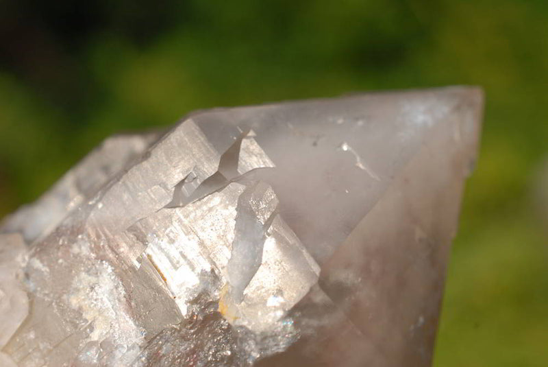 products/AVR_0070_4a2f66e8-9720-470b-8d33-37496c2856c6.jpg