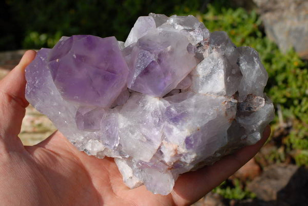 Natural Amethyst Clusters x 2 From Mumbwe, Zambia - TopRock