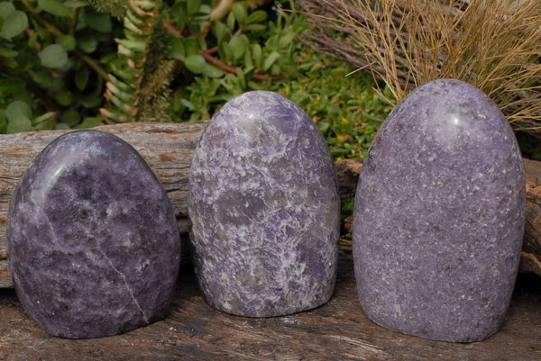 Polished Lepidolite Standing Free Forms (One with Indicolite) x 3 From Madagascar - TopRock