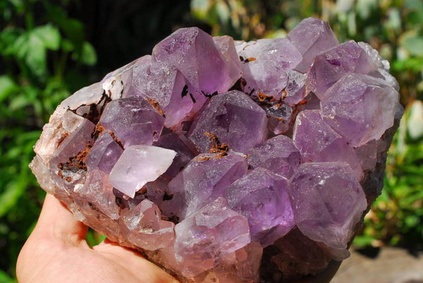 Natural Amethyst Crystal Clusters x 2 From Mambwe, Zambia - TopRock