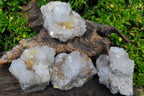 Natural Spirit Quartz Clusters x 4 From South Africa - TopRock