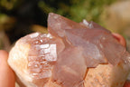Natural Red Phantom Hematoid Quartz Crystals & Clusters x 5 From Zimbabwe - TopRock