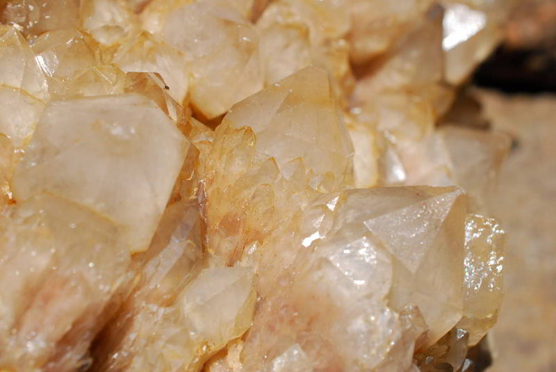products/AVR_0220_274f695e-39f1-4d1a-83e0-4b30f689c7e8.jpg