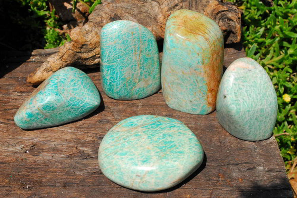 Polished Amazonite Standing Free Forms x 6 From Madagascar - TopRock