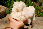 Natural White Castle Quartz Cluster  x 1 From Madagascar - TopRock