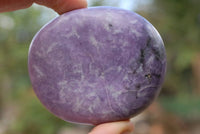 Polished Lepidolite Gallets x 6 From Zimbabwe - TopRock