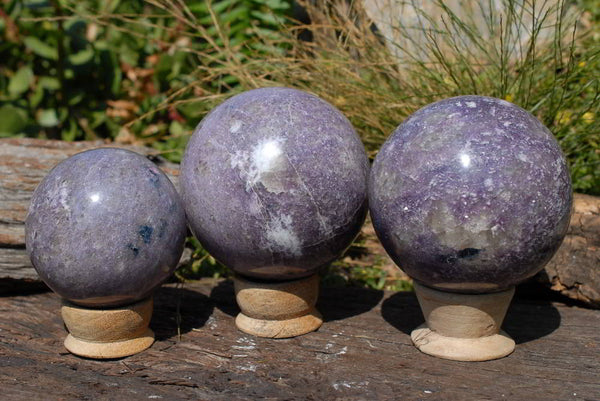 Polished Lepidolite Spheres (One with Indicolite Blue Tourmaline) x 3 From Madagascar - TopRock