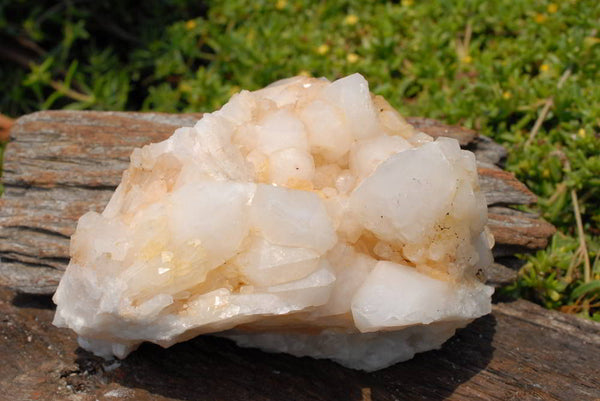 Natural Quartz Crystal Cluster x 1 From Madagascar - TopRock