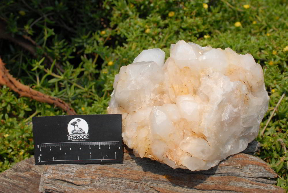 Natural Quartz Crystal Cluster x 1 From Madagascar - TopRock