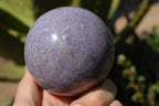 Polished Lepidolite Spheres (One with Indicolite Blue Tourmaline) x 3 From Madagascar - TopRock