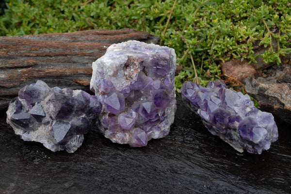Natural Amethyst Cluster Specimens x 3 From Zambia - TopRock