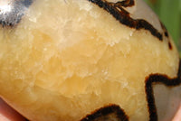 Polished Septerye (Aragonite & Calcite) Standing Free Forms x 2 From Madagascar - TopRock