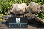 Natural Smokey Phantom Quartz Clusters x 5 From Lwena, Congo - TopRock