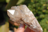 Natural Smokey Phantom Quartz Clusters x 5 From Lwena, Congo - TopRock