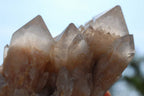 Natural Smokey Phantom Quartz Clusters x 5 From Lwena, Congo - TopRock
