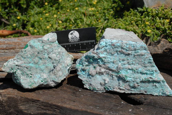Natural Drusy Coated Chrysocolla With Malachite x 2 From Likasi, Congo - TopRock