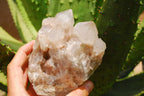 Natural Smokey Phantom Quartz Clusters x 2 From Lwena, Congo - TopRock