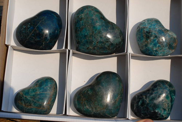Polished Blue Apatite Hearts x 6 From Madagascar - TopRock