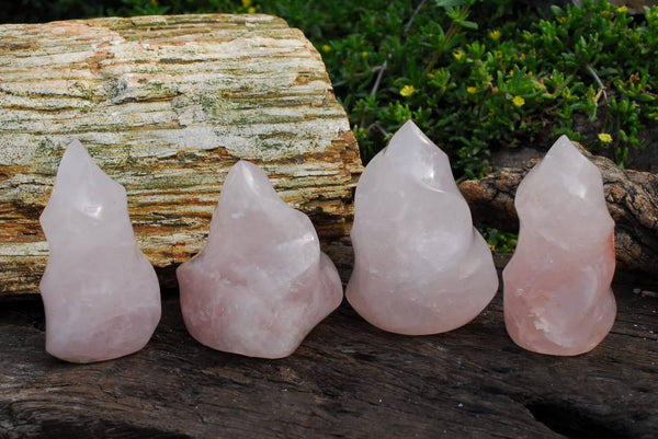 Polished Small Affordable Rose Quartz Flames x 4 From Madagascar - TopRock