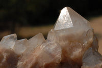 Natural Smokey Phantom Quartz Clusters x 3 From Lwena, Congo - TopRock