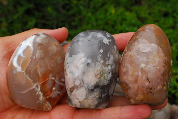 Polished Coral Flower Agate Free Forms x 6 From Antsahalova, Mahajunga, Madagascar - TopRock